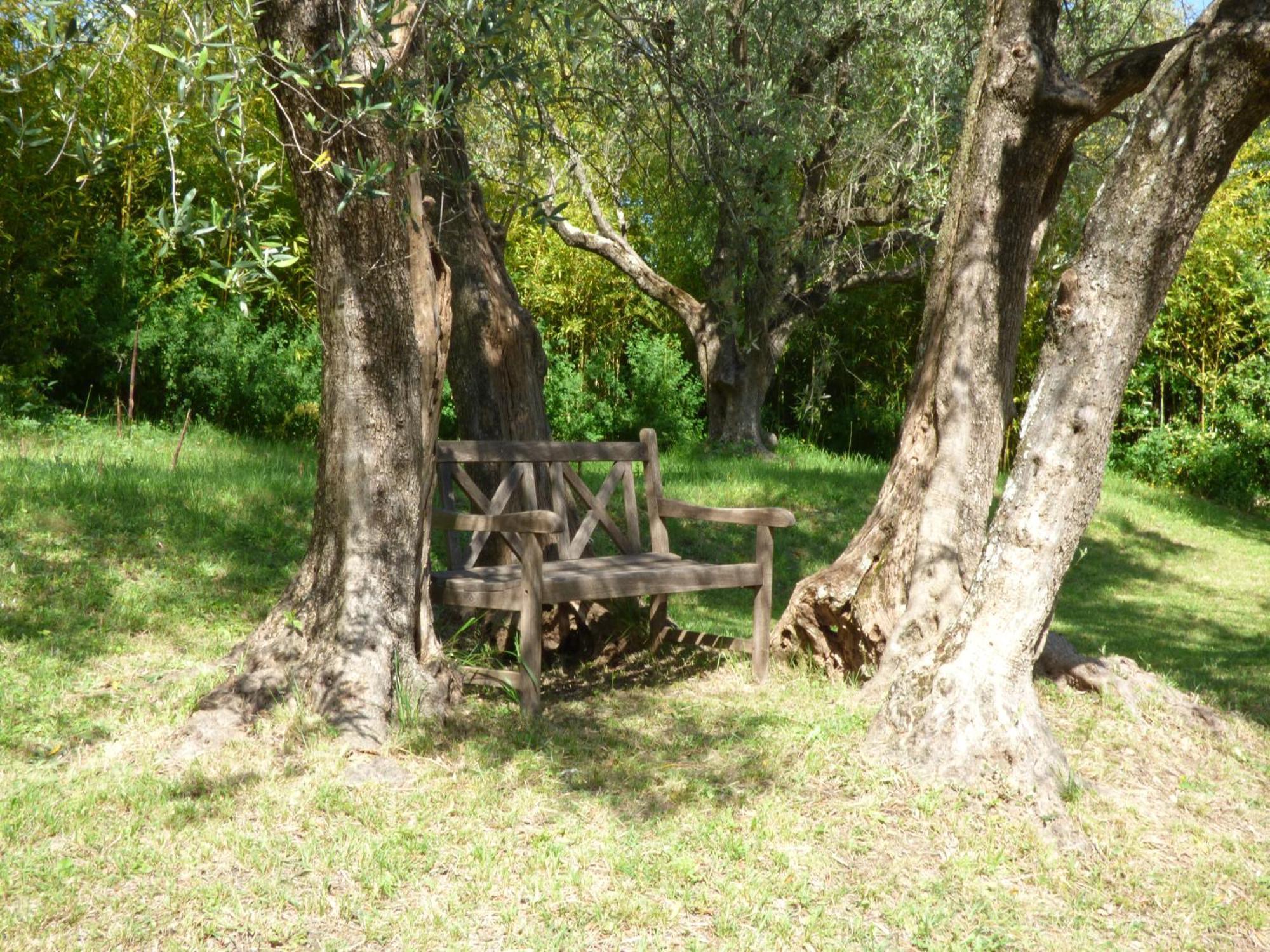 Apartment Cezanne With Heated Pool And Private Garden Chateauneuf-Grasse Eksteriør billede